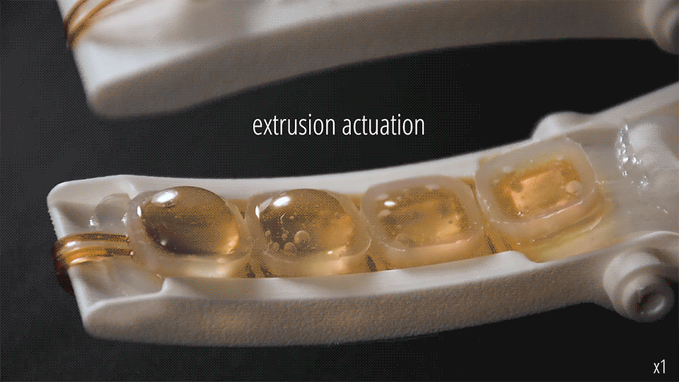 MorphingSkin gripper and robot