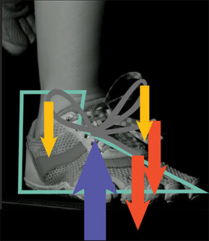diagram of shoestring coming untied